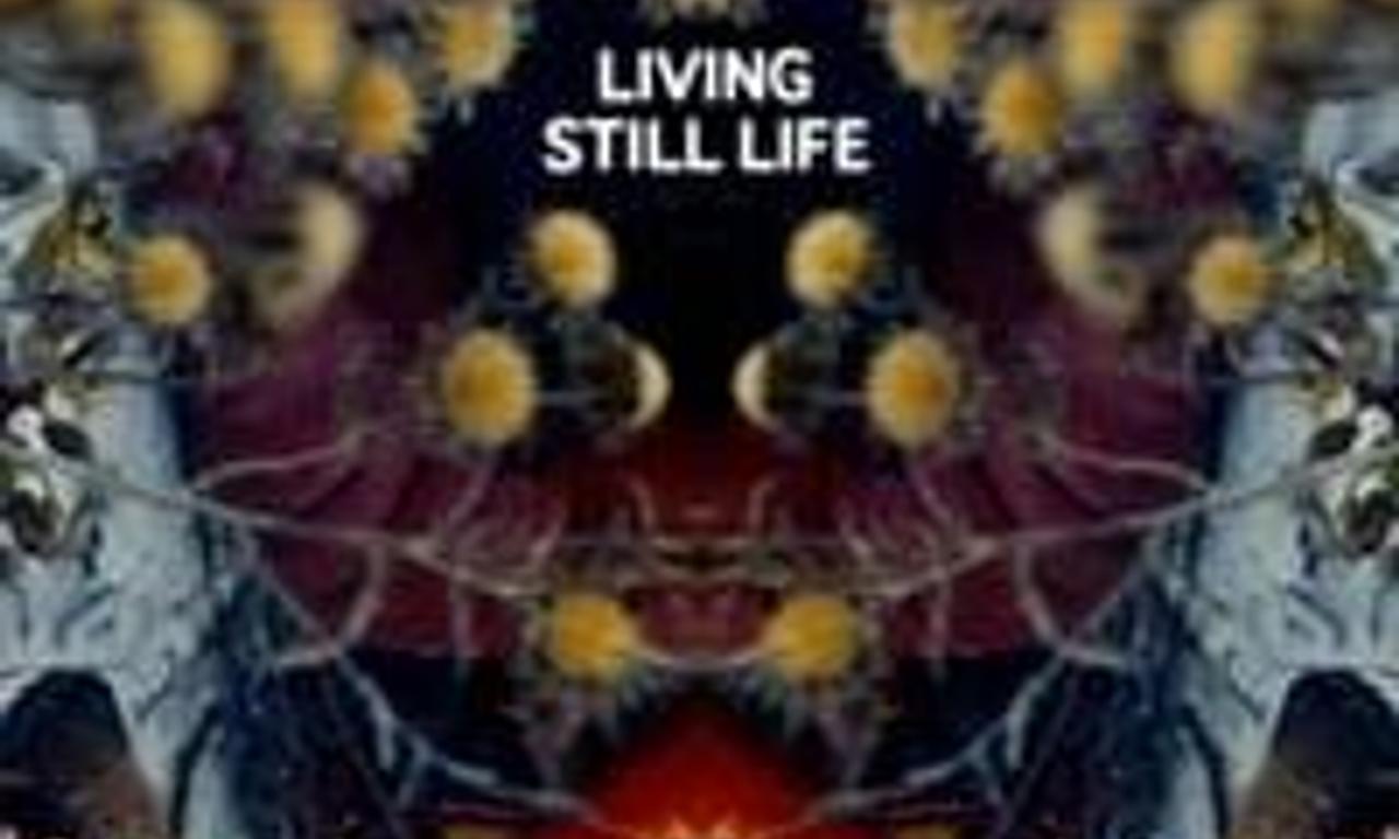 header image for Living Still Life
