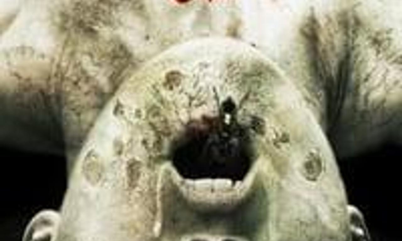 header image for The Exorcism of Molly Hartley