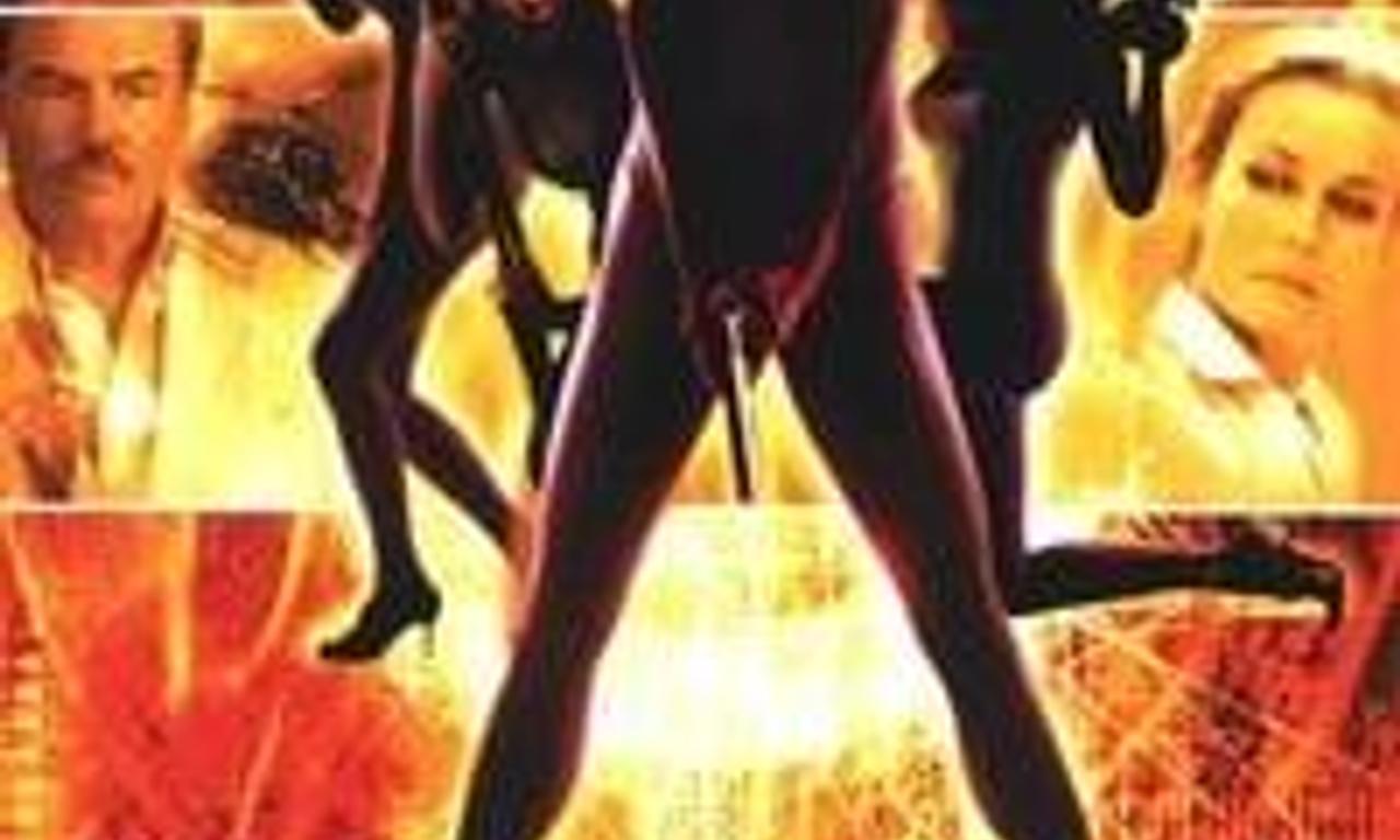 header image for Sunstorm