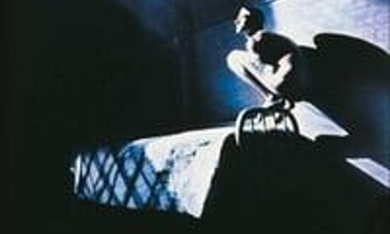 header image for Birdy