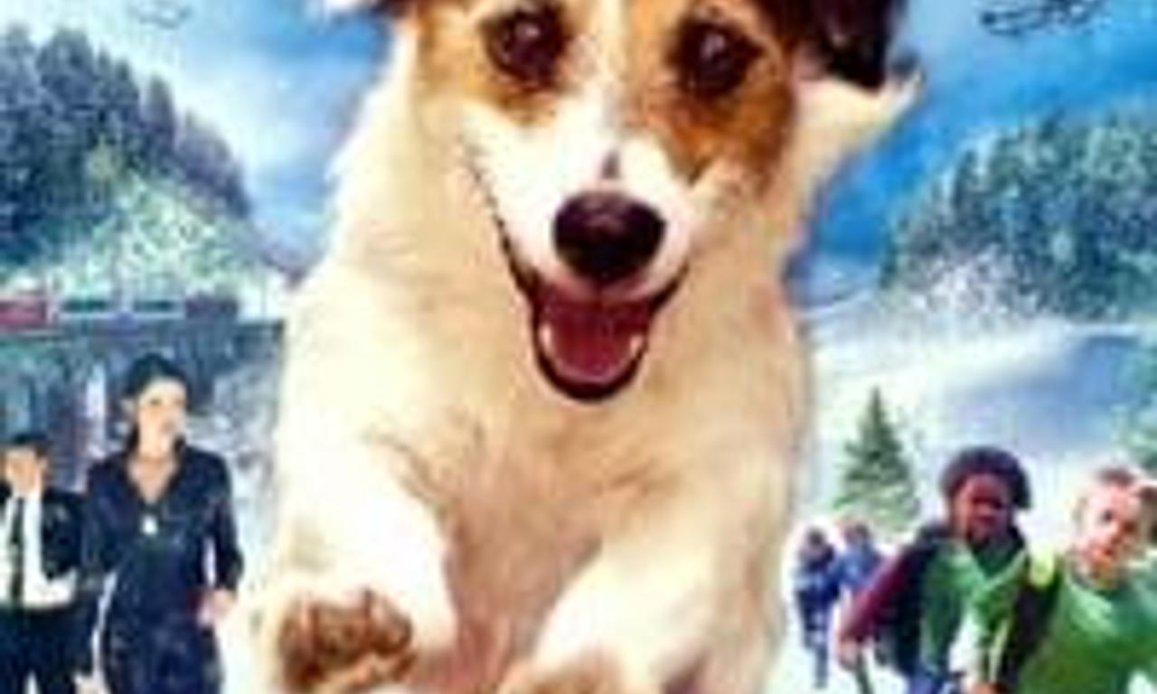 header image for A Doggone Christmas