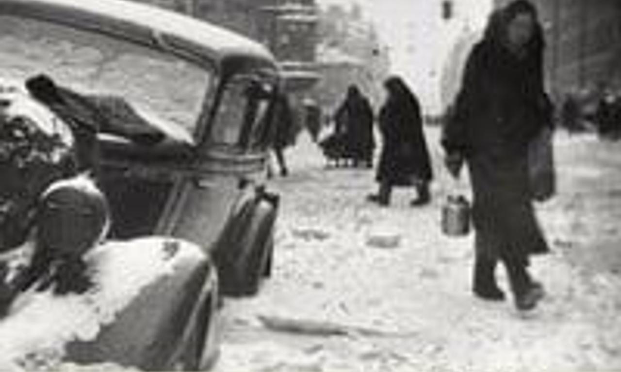 header image for Landscape