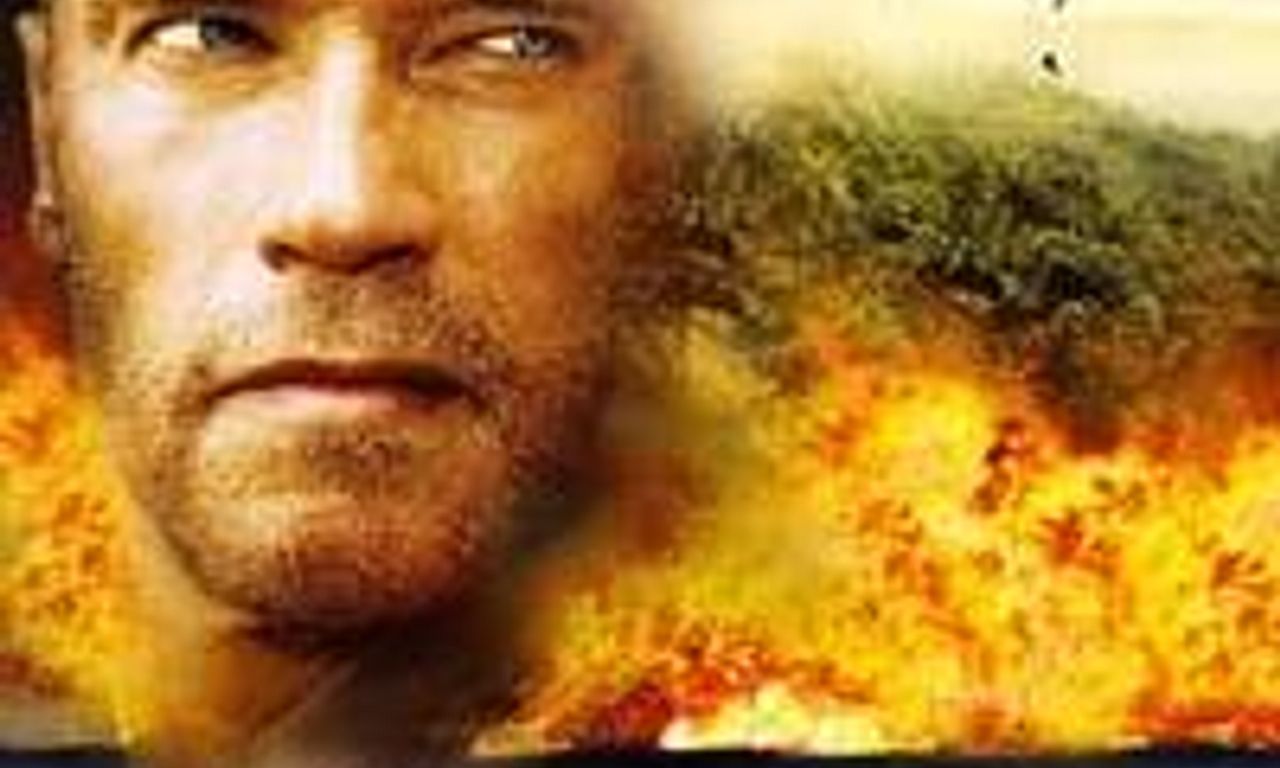 header image for Collateral Damage