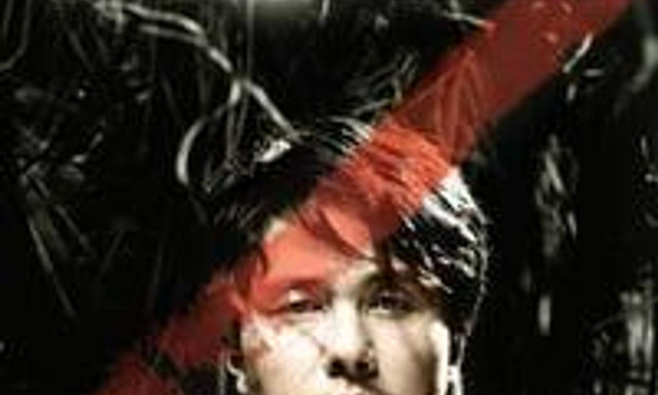 header image for Spider Forest