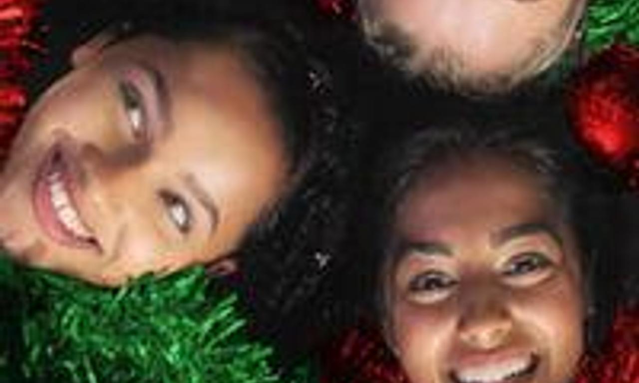 header image for Free Rein: The Twelve Neighs of Christmas