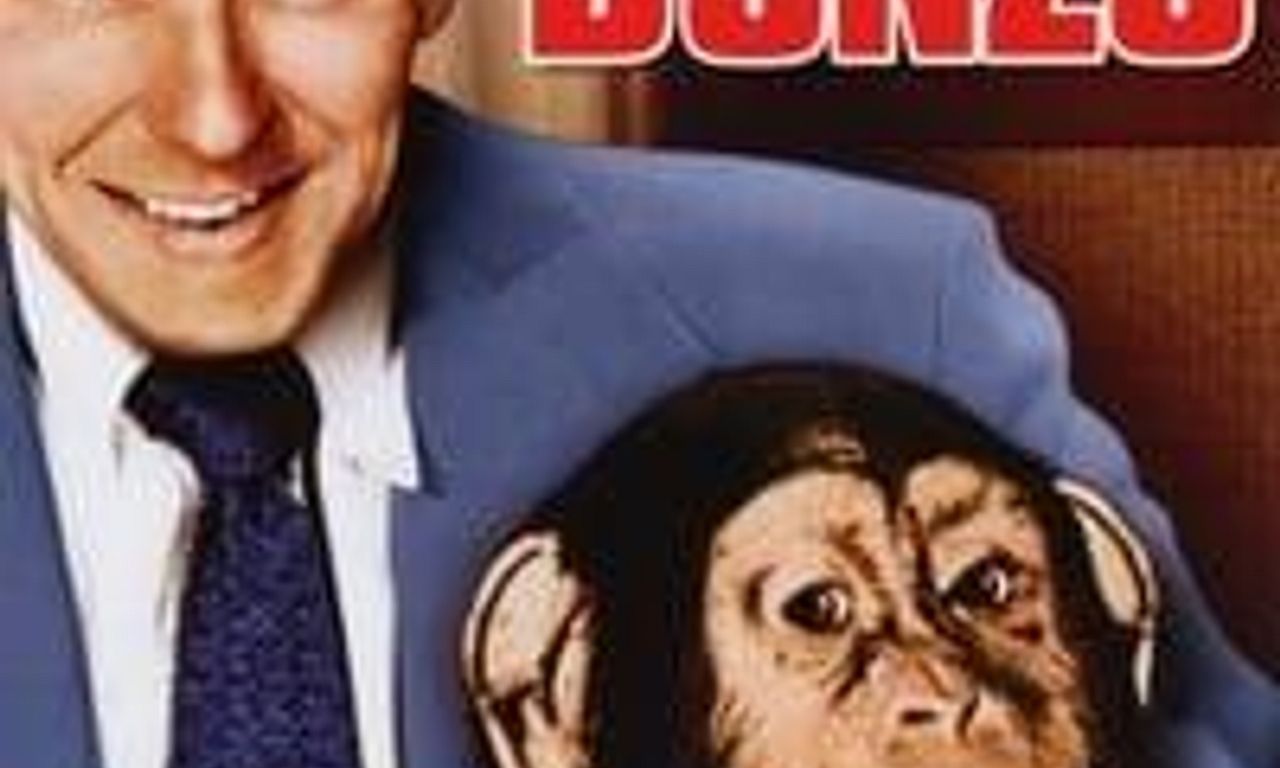 header image for Bedtime for Bonzo