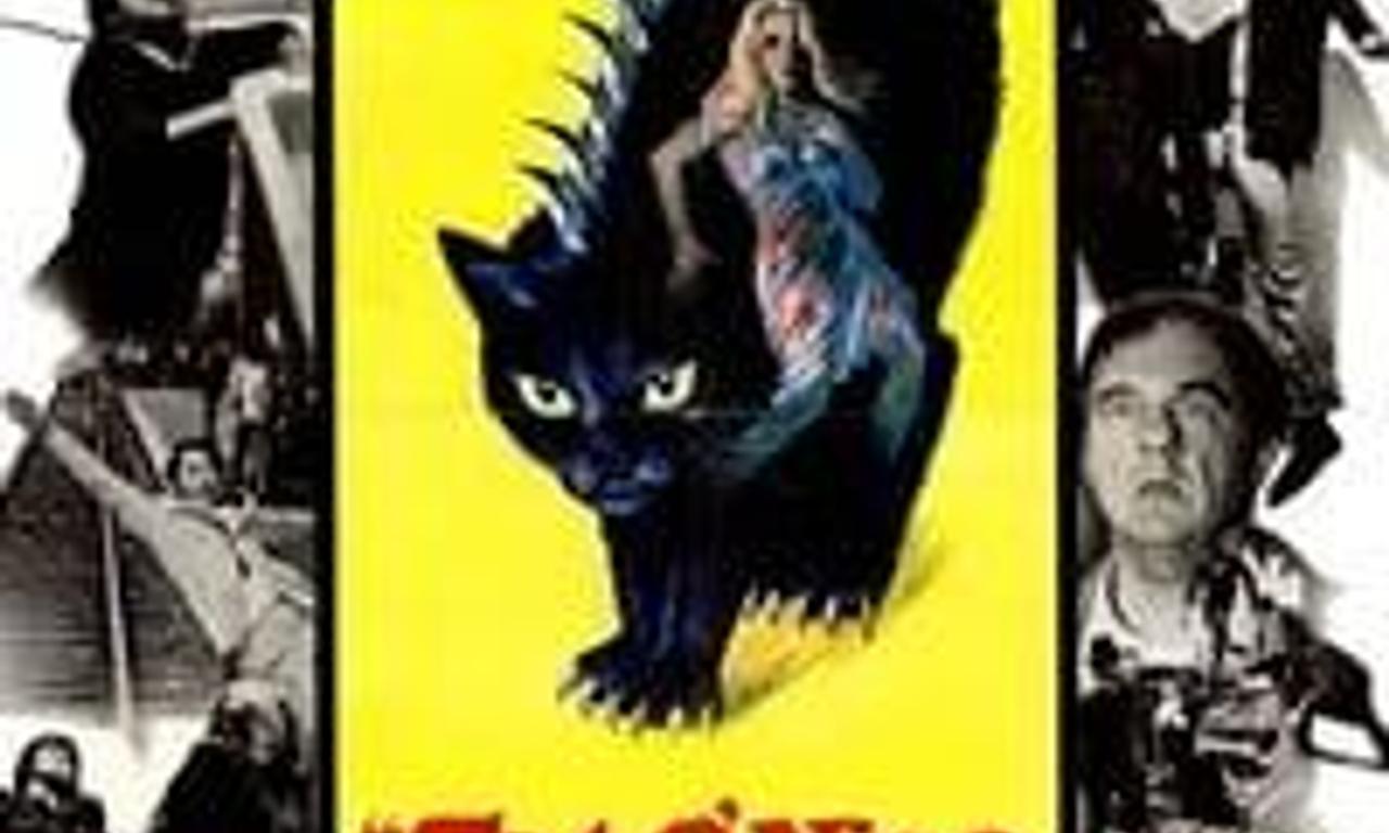 header image for The Cat o' Nine Tails