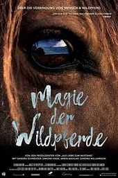 Magic of the Wild Horses