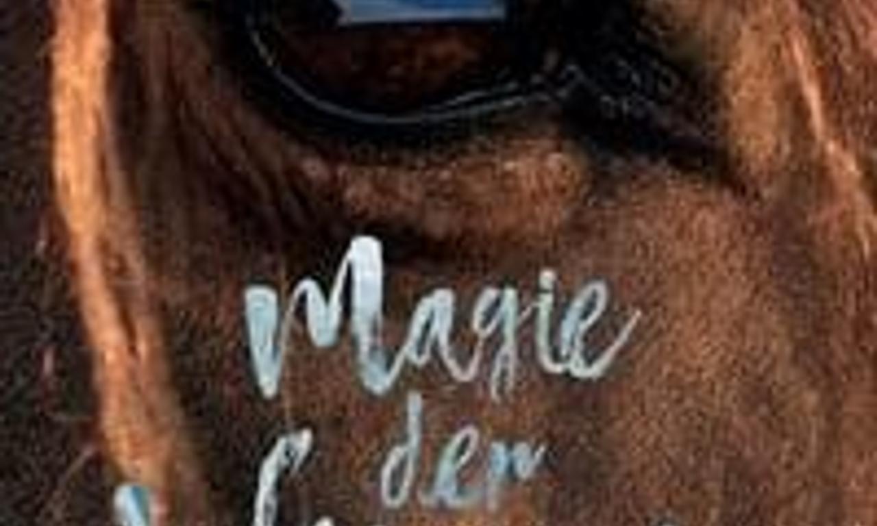 header image for Magic of the Wild Horses