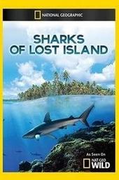 Sharks of Lost Island