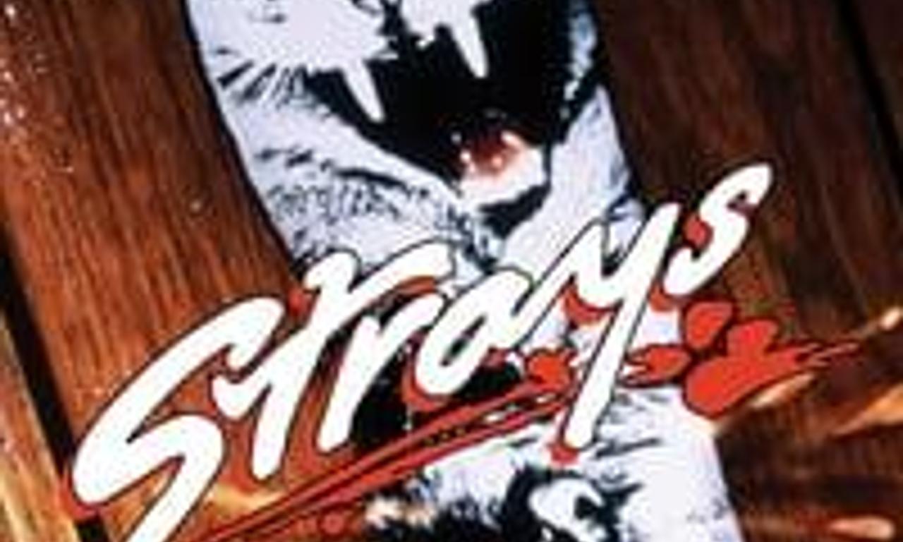 header image for Strays