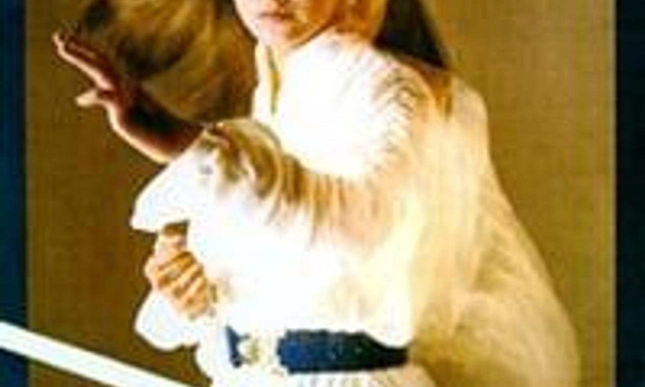 header image for Sister Street Fighter: Fifth Level Fist