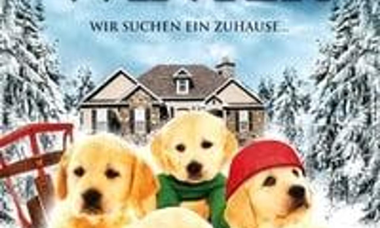 header image for Golden Winter