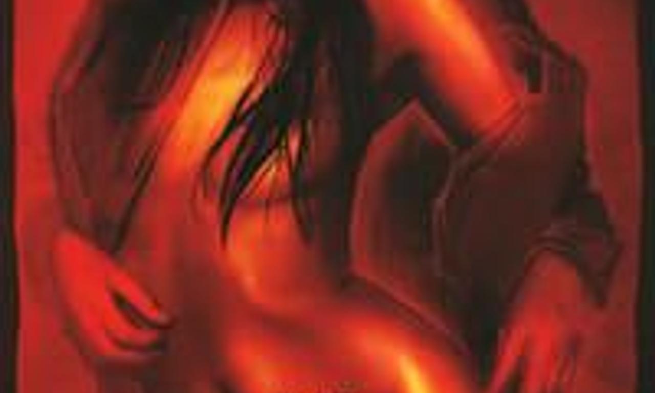 header image for The Alcove