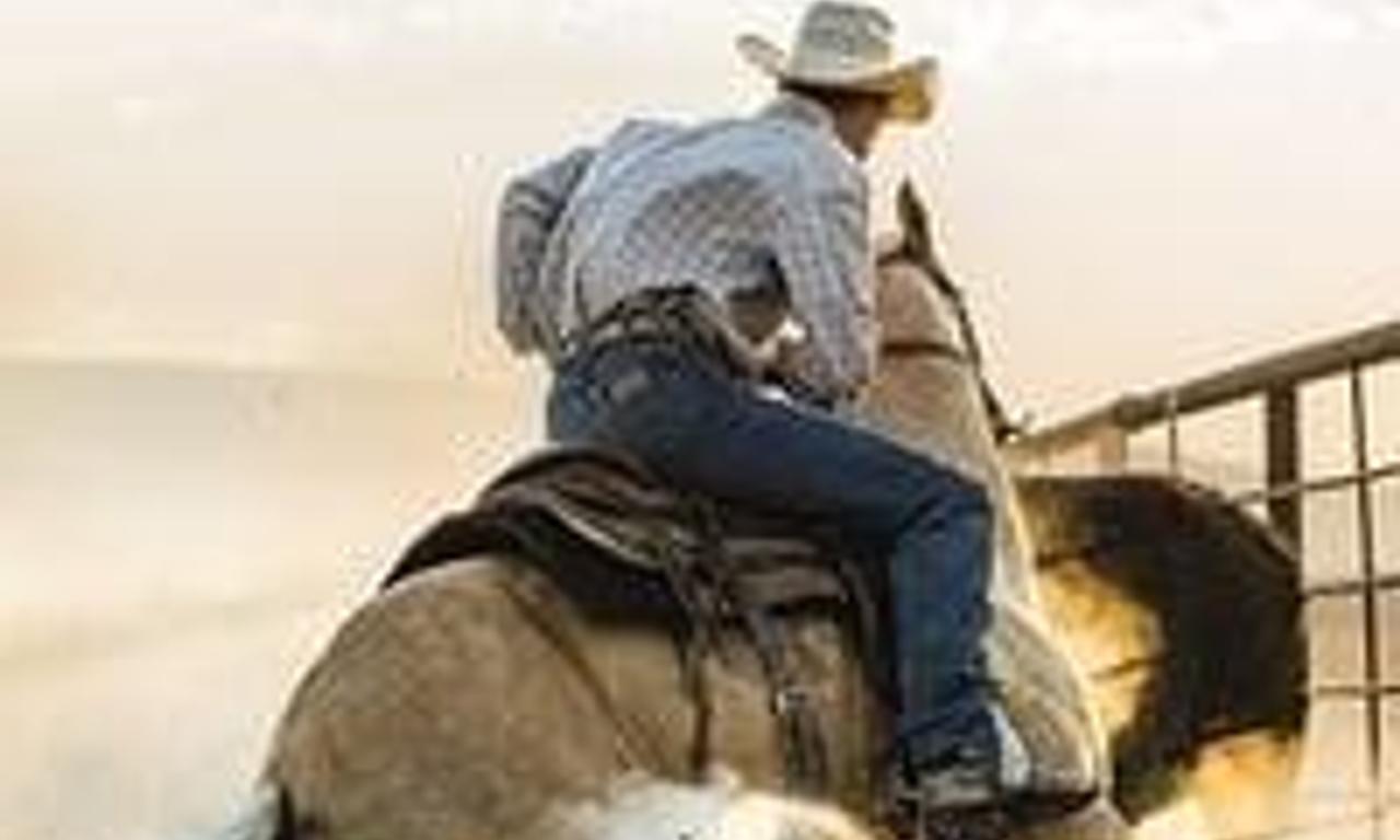 header image for Down the Fence