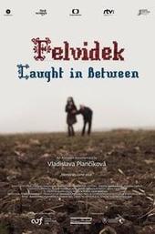 Felvidek – Caught in Between