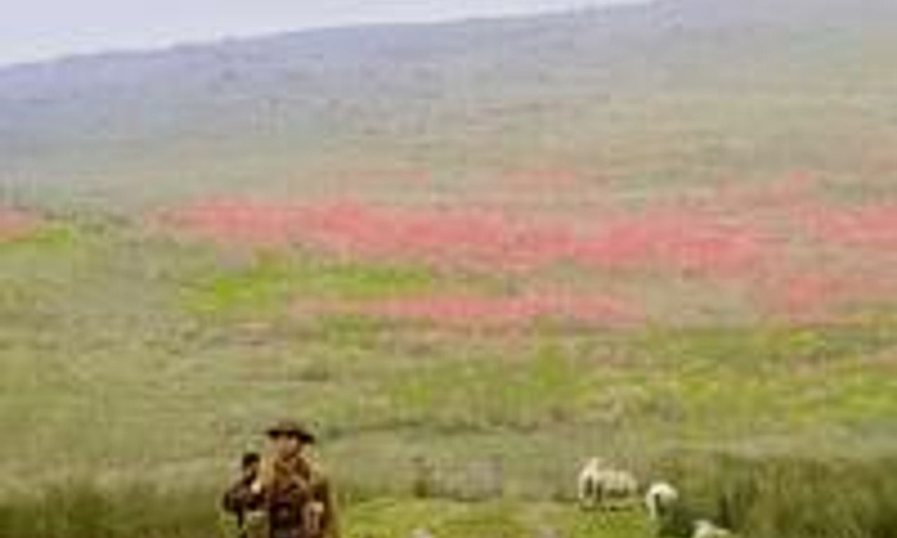 header image for The War I Knew