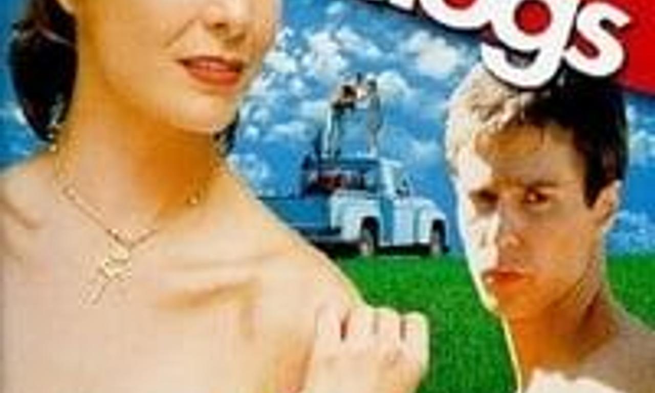 header image for Lawn Dogs