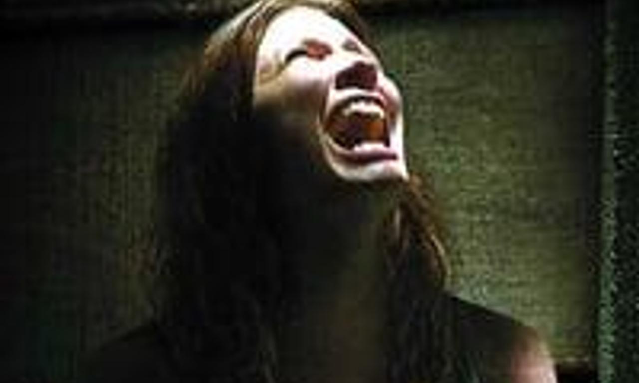 header image for Walled In