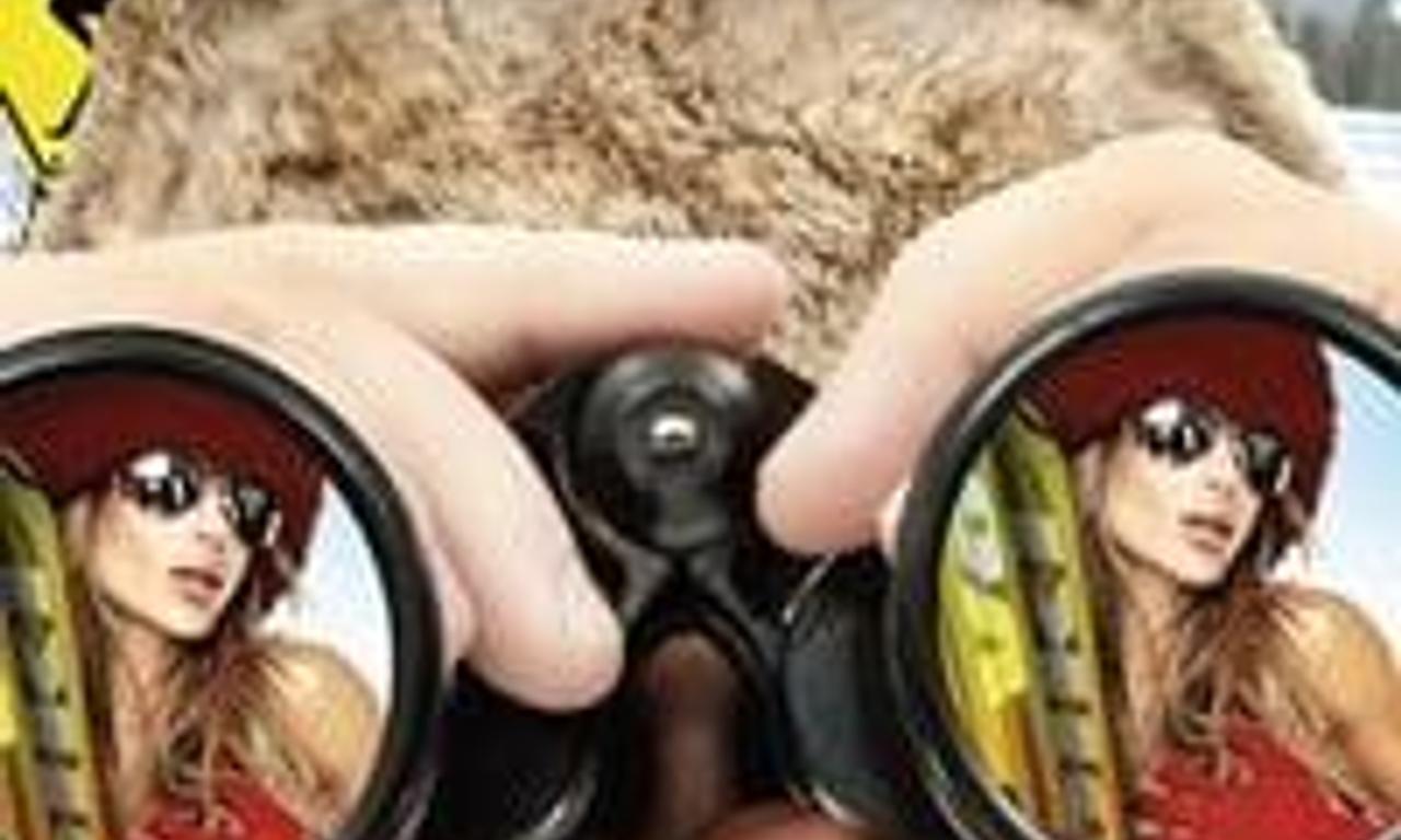 header image for Cougar Hunting