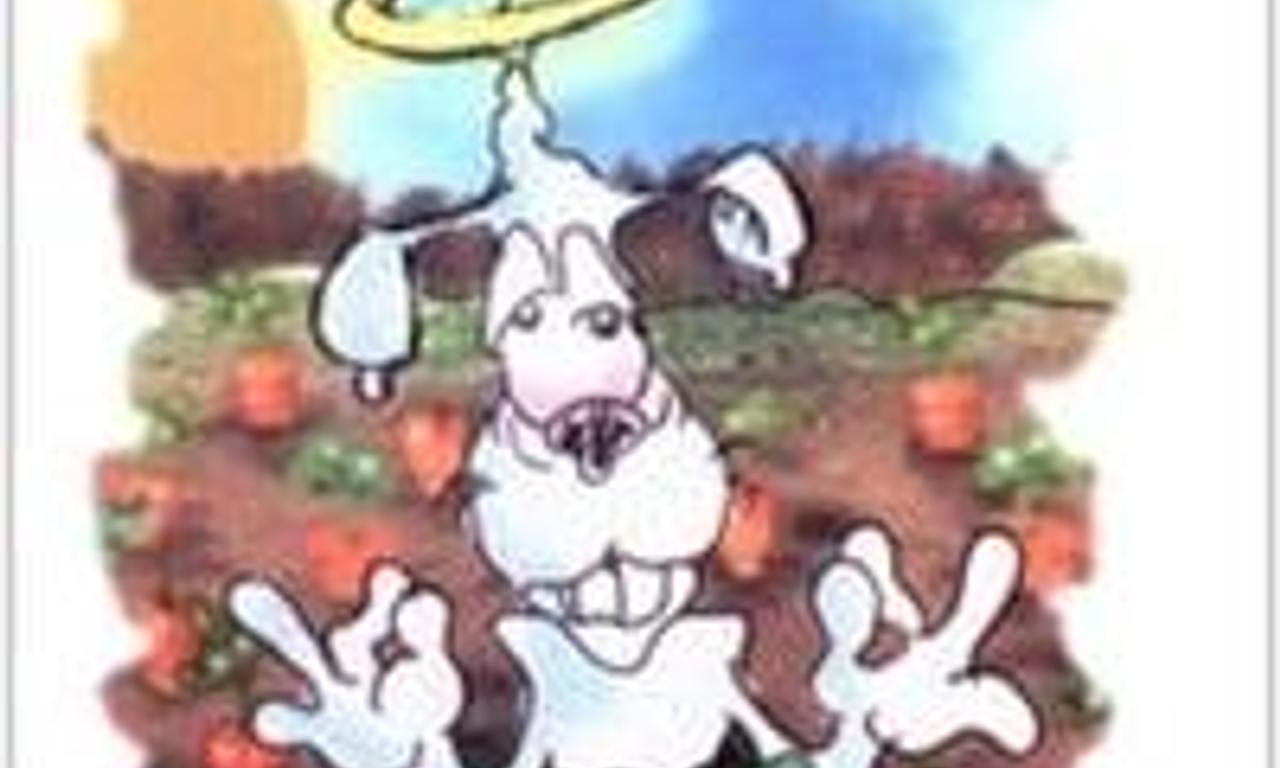 header image for Frank the Wrabbit