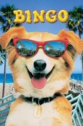 Bingo