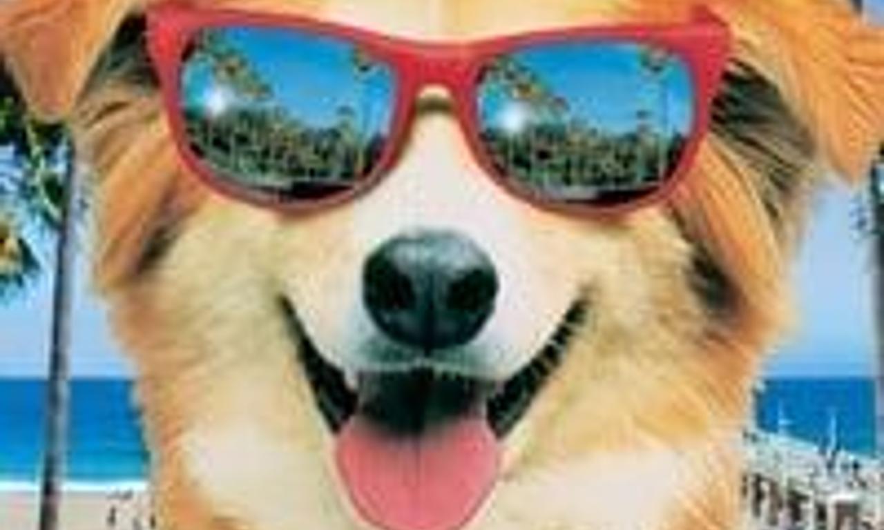 header image for Bingo