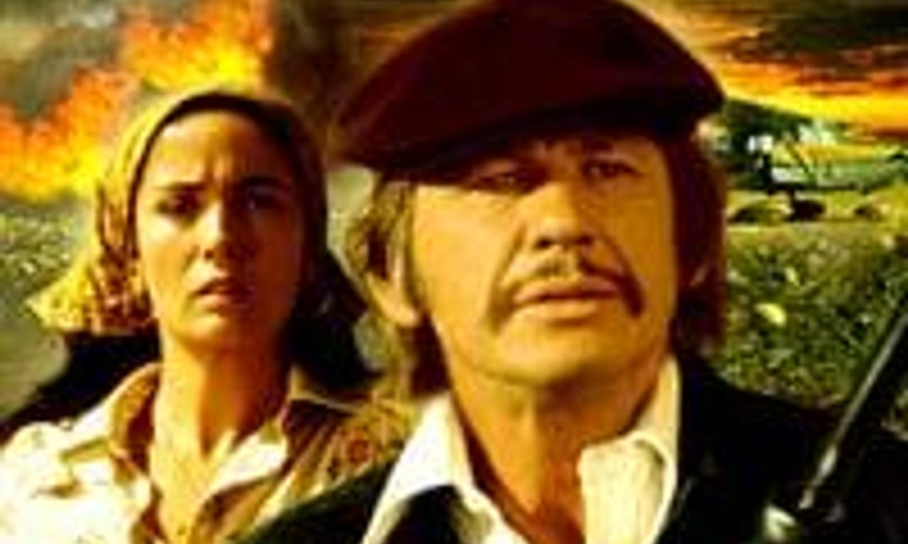header image for Mr Majestyk