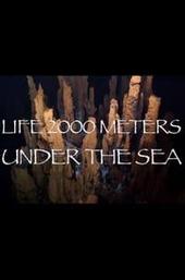 Life 2,000 Meters Under the Sea