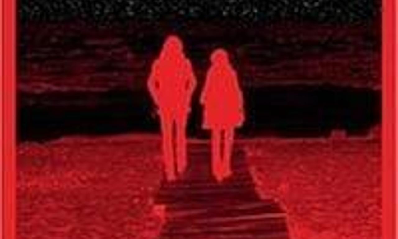 header image for The White Stripes: Under Great White Northern Lights