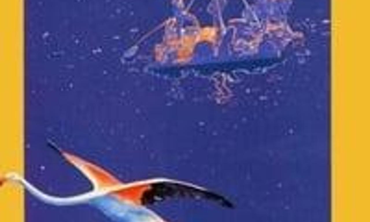 header image for El río de oro