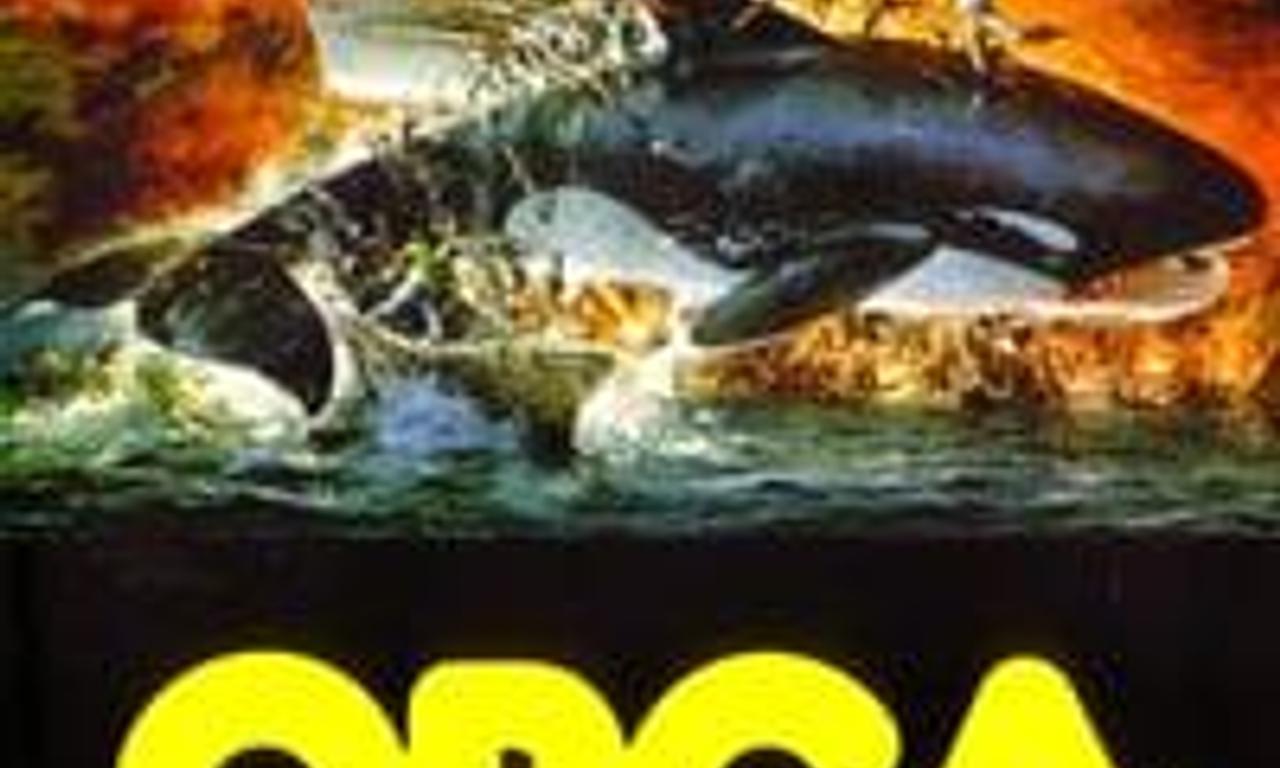 header image for Orca