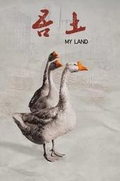 My Land