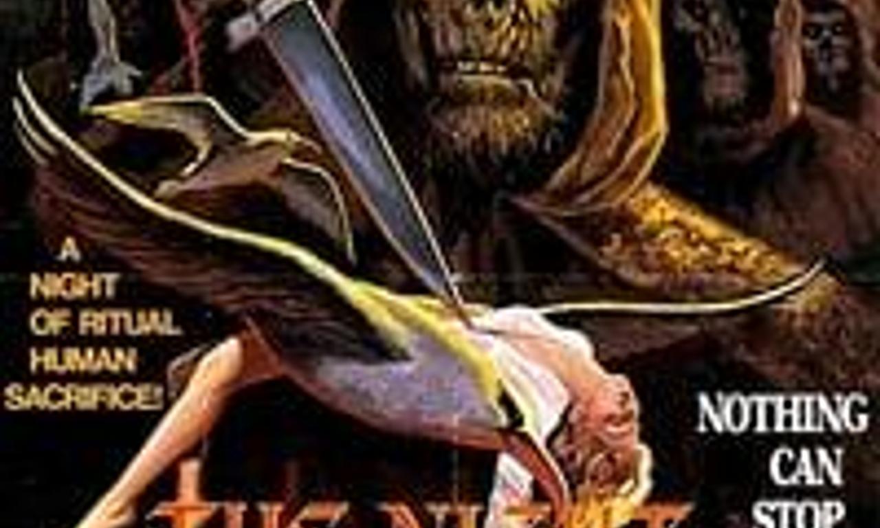 header image for Night of the Seagulls