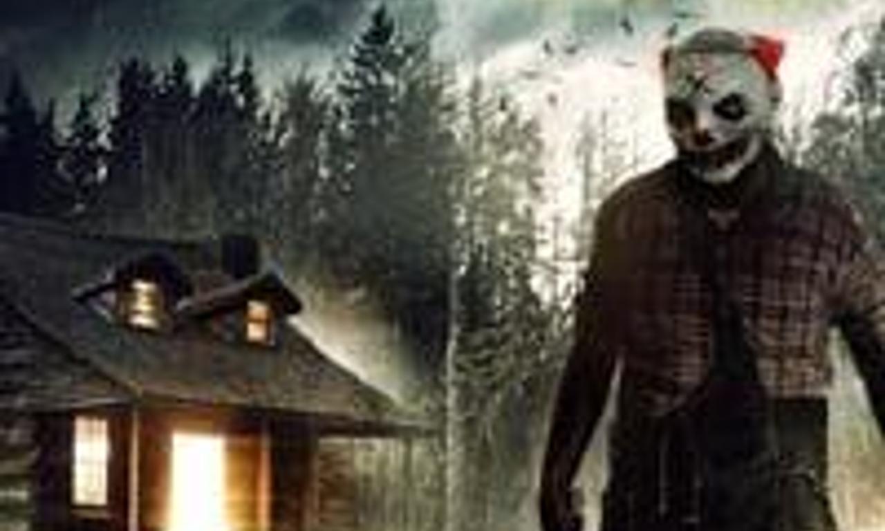 header image for Cabin 28