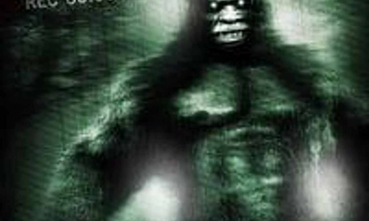 header image for Creature in the Woods