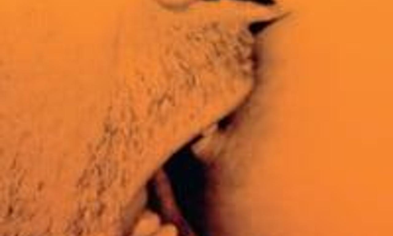 header image for Brilliantlove