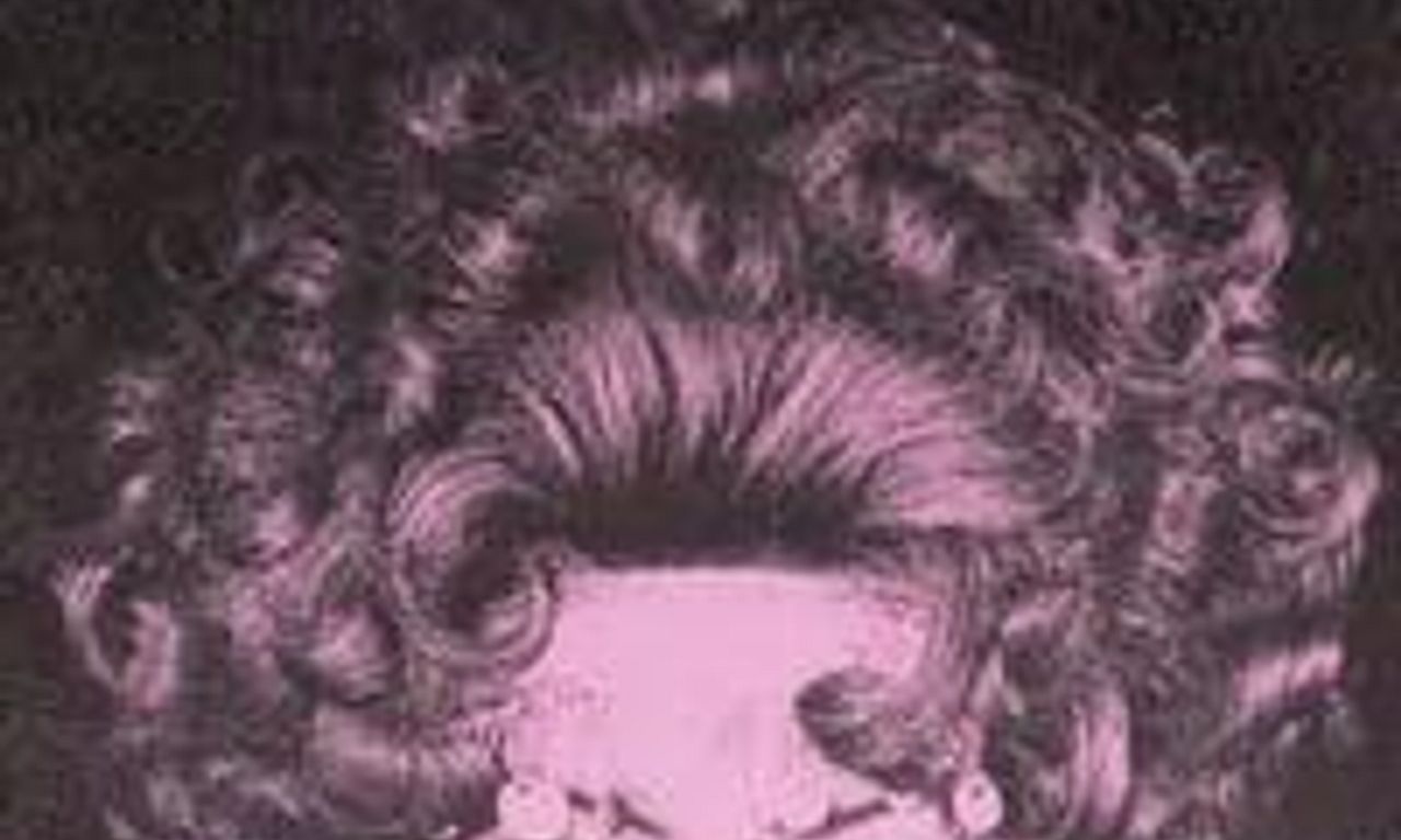 header image for Funeral Parade of Roses