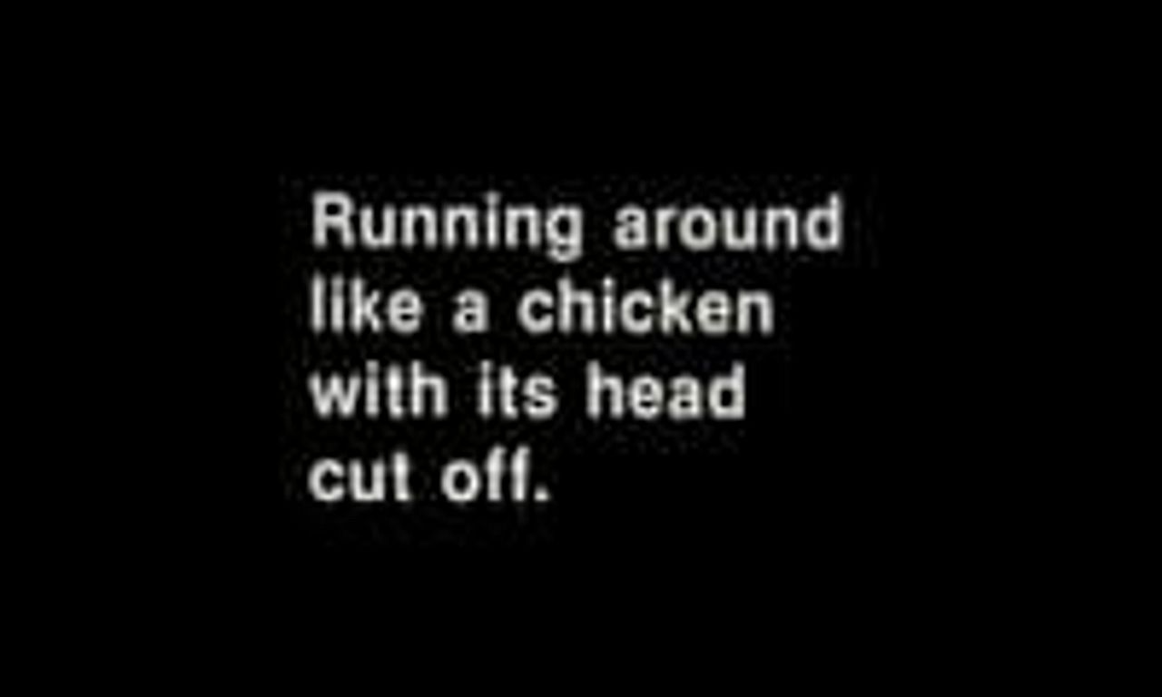 Running Around Like a Chicken With Its Head Cut Off Where to Watch