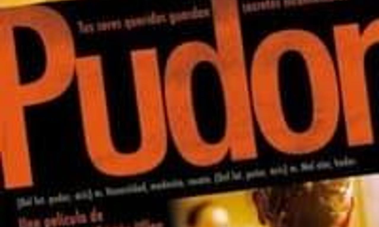 header image for Modesty