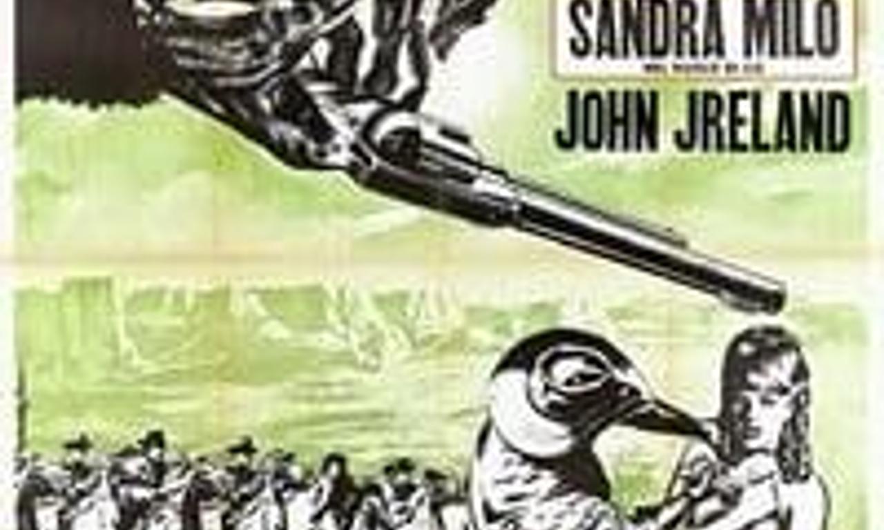 Trusting Is Good... Shooting Is Better Where to Watch and Stream