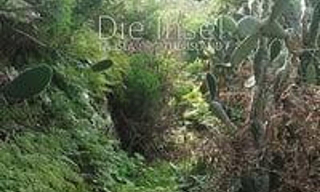 header image for The Island