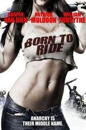 Born to Ride