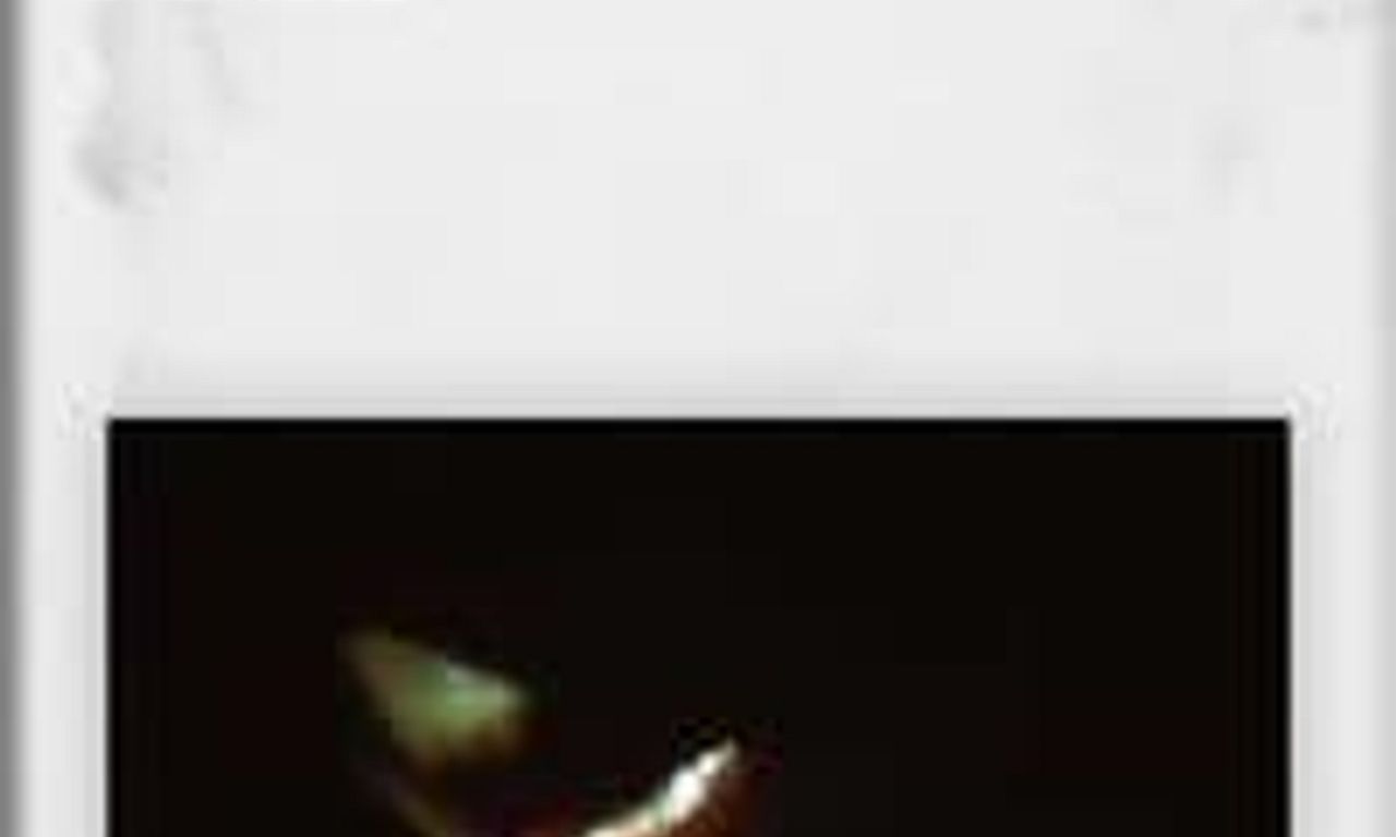 header image for Erotique