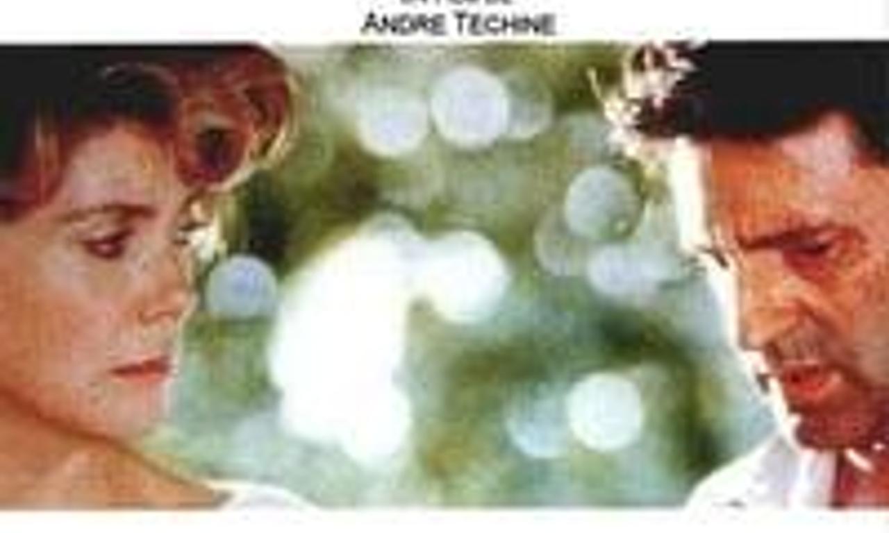 header image for My Favorite Season