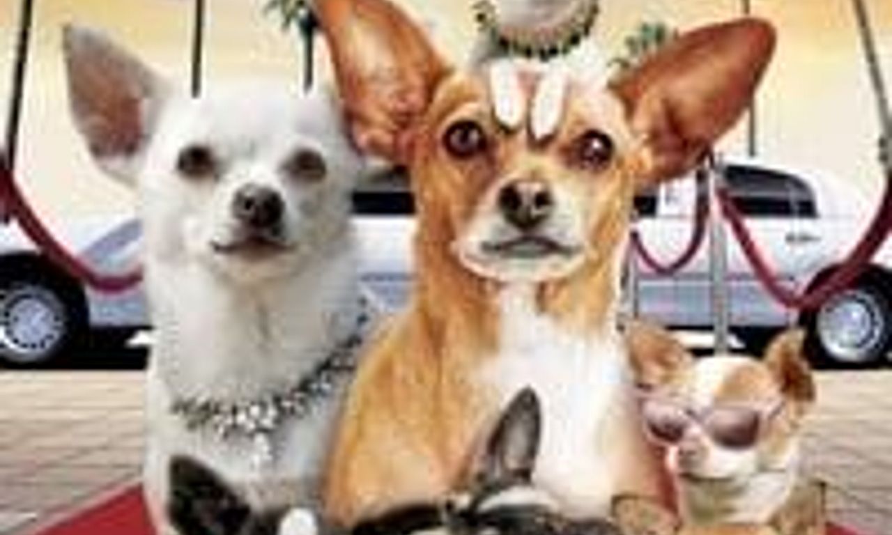 header image for Beverly Hills Chihuahua 2