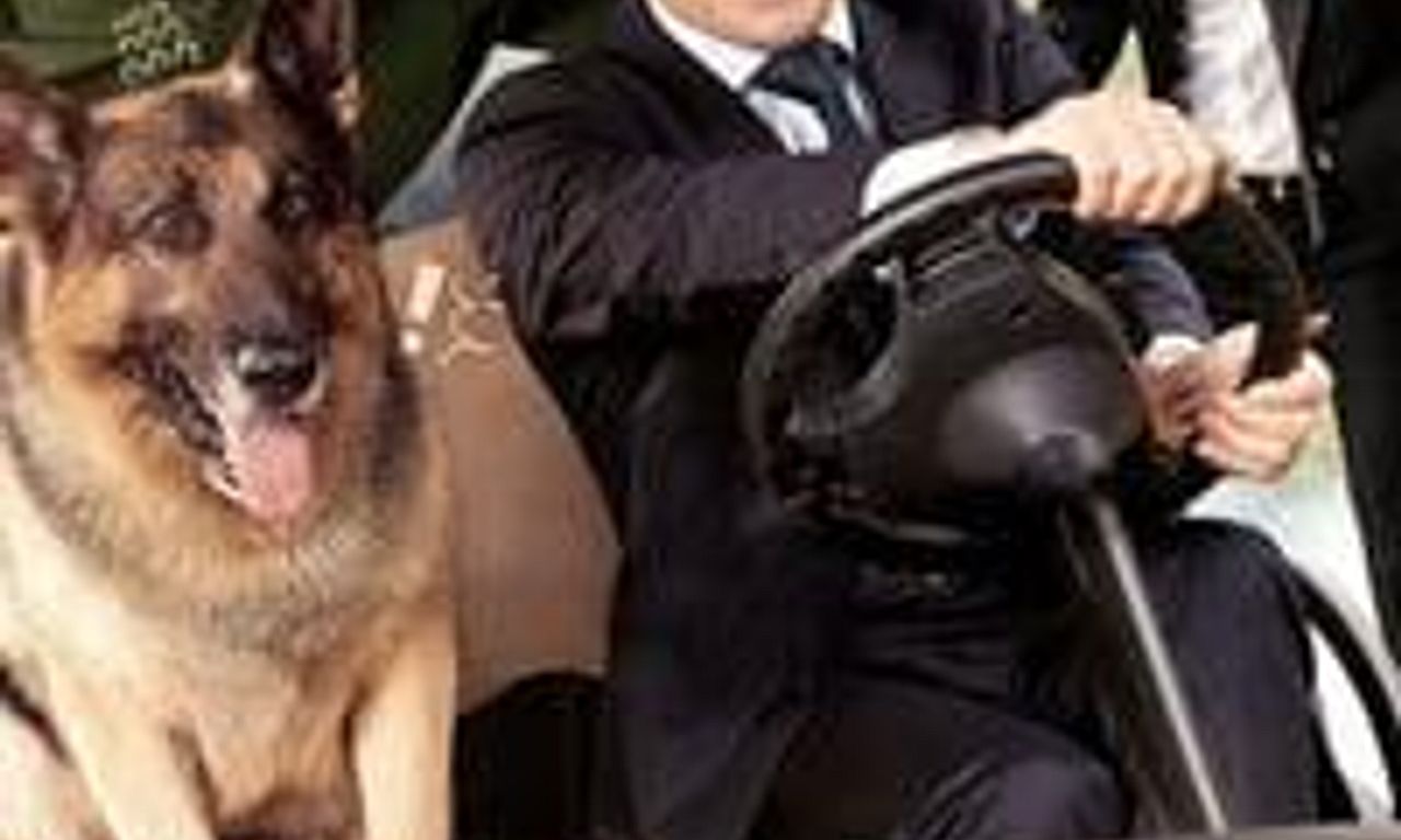 header image for Mr. Zoo: The Missing VIP