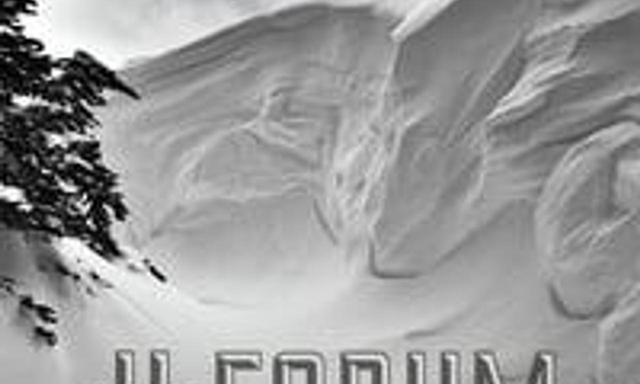 header image for #FORUM