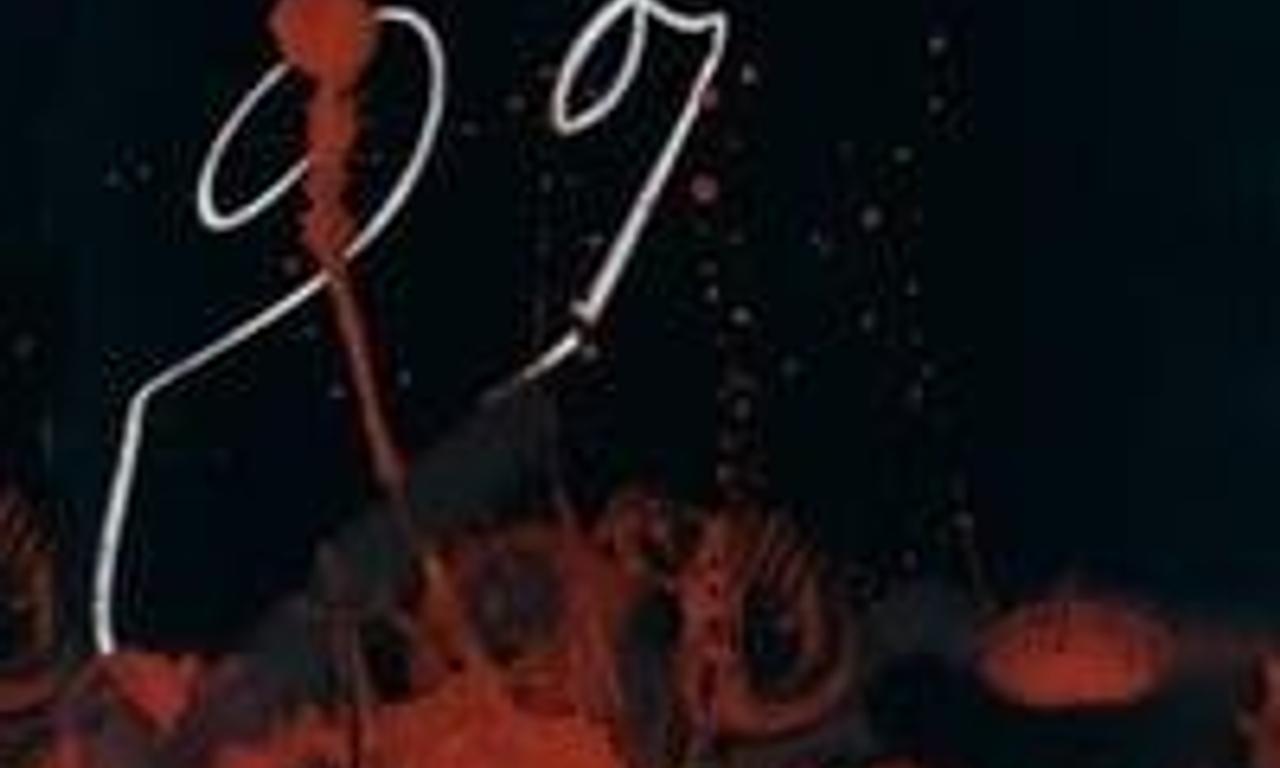 header image for Nocturne 29