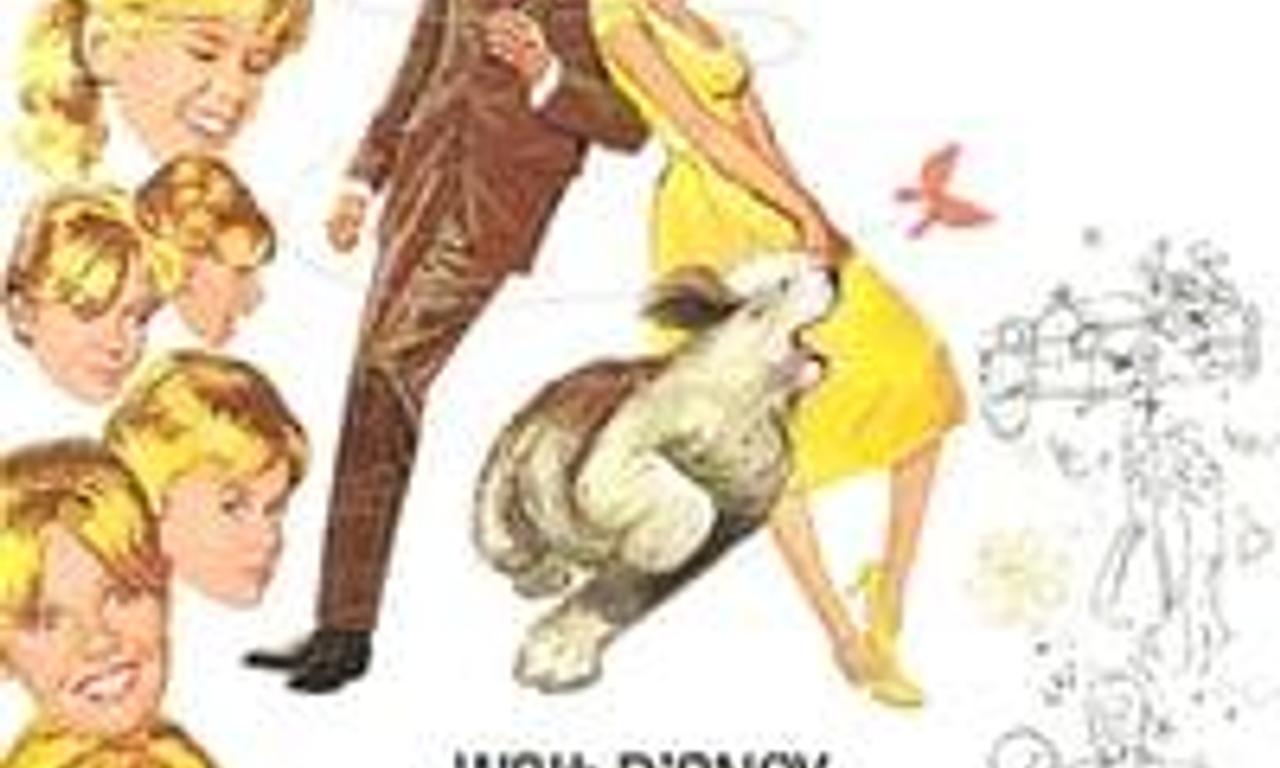 header image for Summer Magic